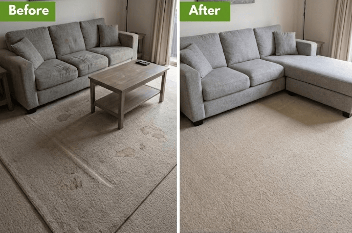 Before and after professional cleaning results