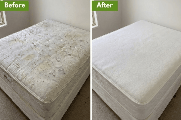 Professional home cleaning result